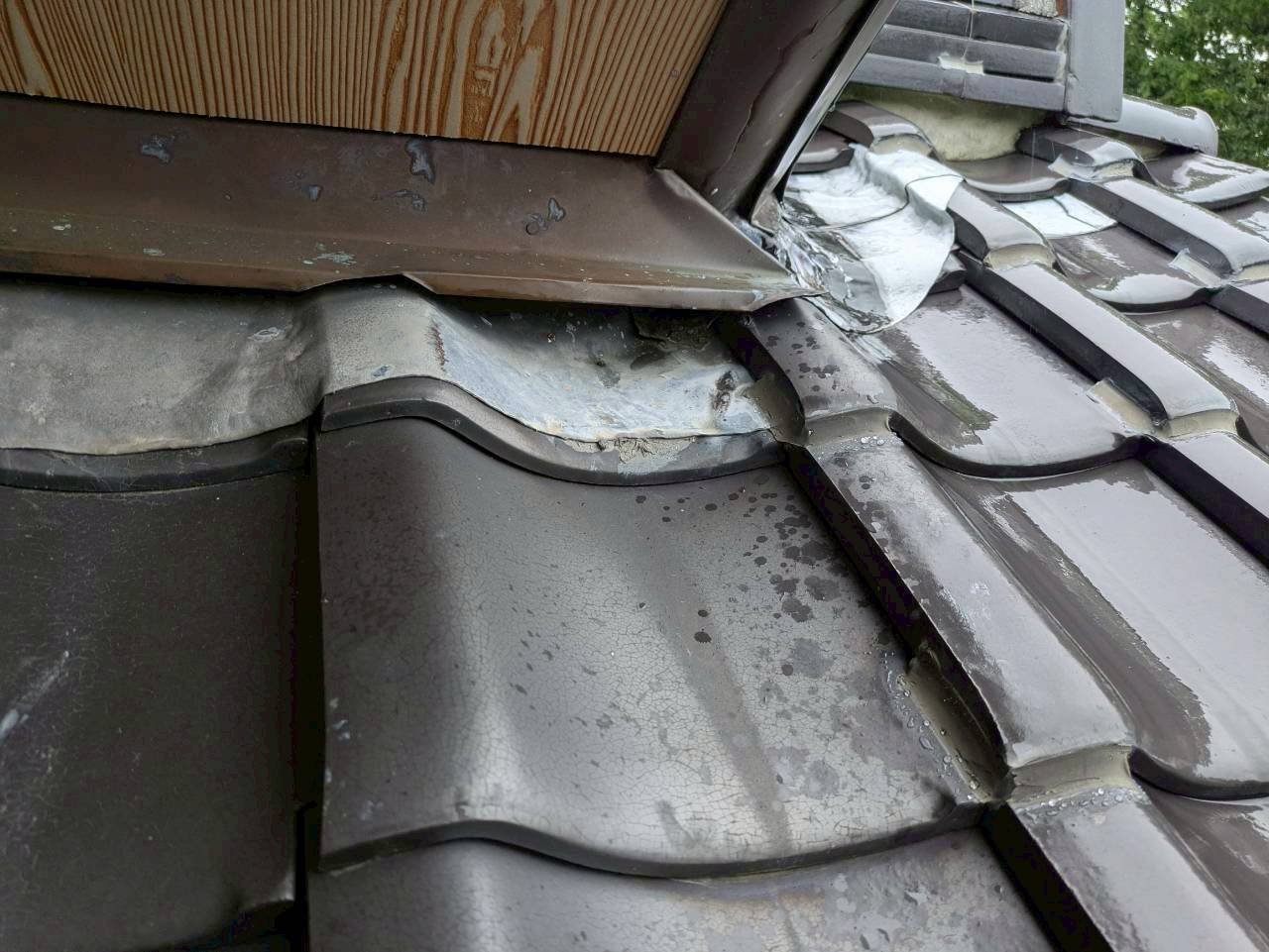 福岡県糟屋郡須恵町　アライグマによる被害　B様邸　駆除実績