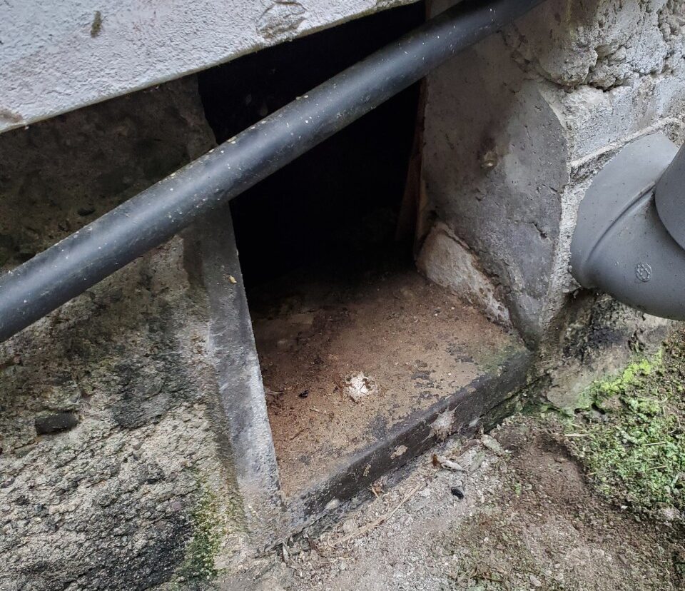 福岡県嘉麻市　アライグマ被害　E様邸　駆除実績
