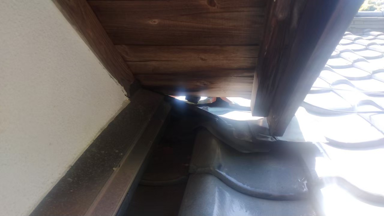 佐賀県杵島郡大町町　アライグマによる被害　Y様邸　駆除実績