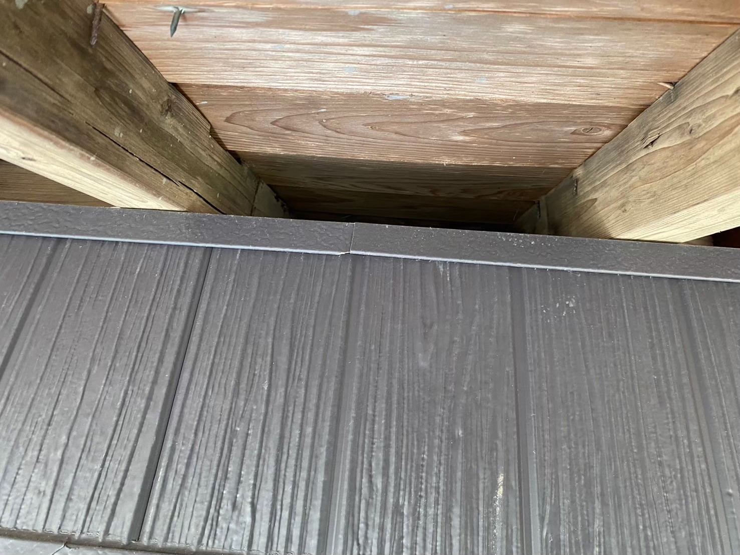 山口県下関市　アライグマによる被害　A様邸　駆除実績