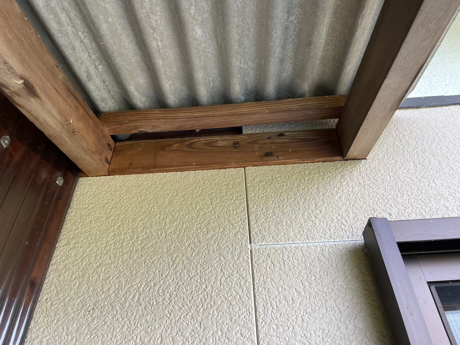 福岡県鞍手郡小竹町　アライグマによる被害　N様邸　駆除実績