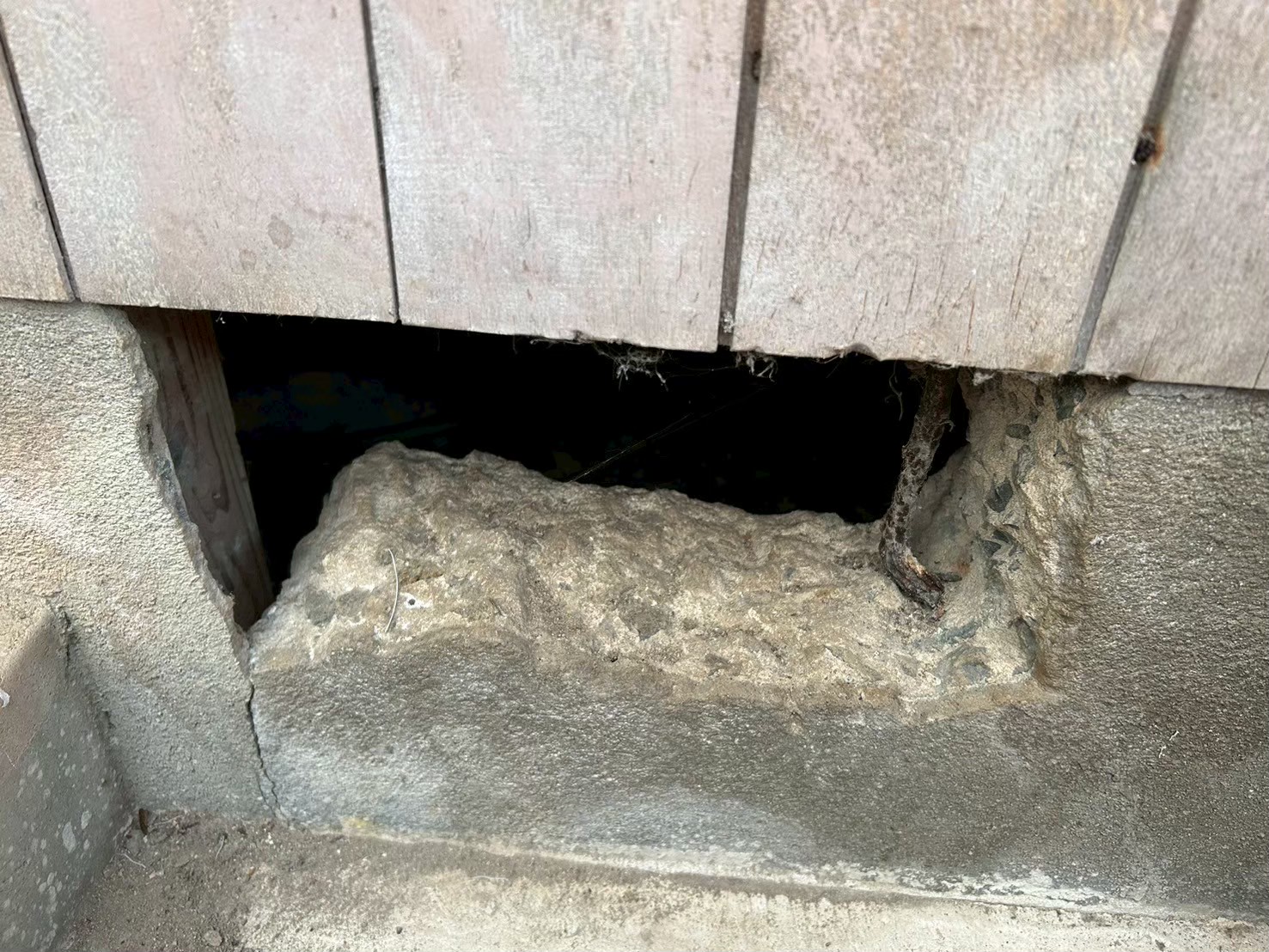 佐賀県杵島郡大町町　アライグマによる被害　K様邸　駆除実績