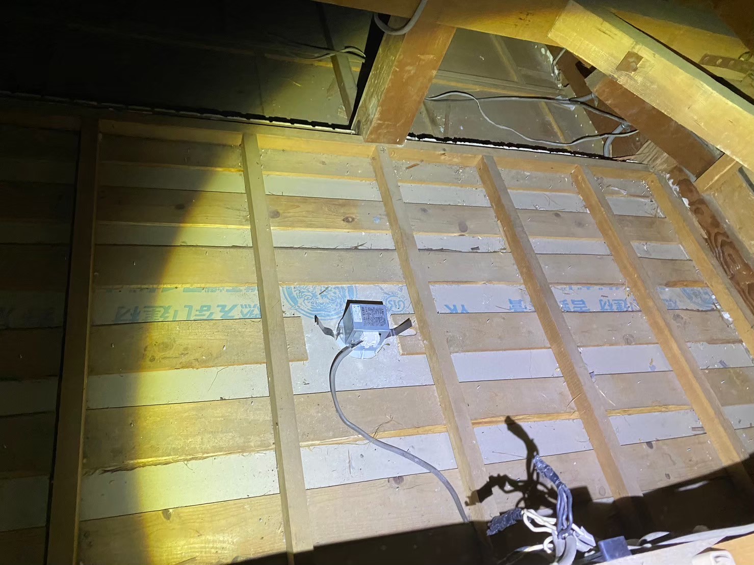 熊本県荒尾市　アライグマによる被害　U様邸　駆除実績