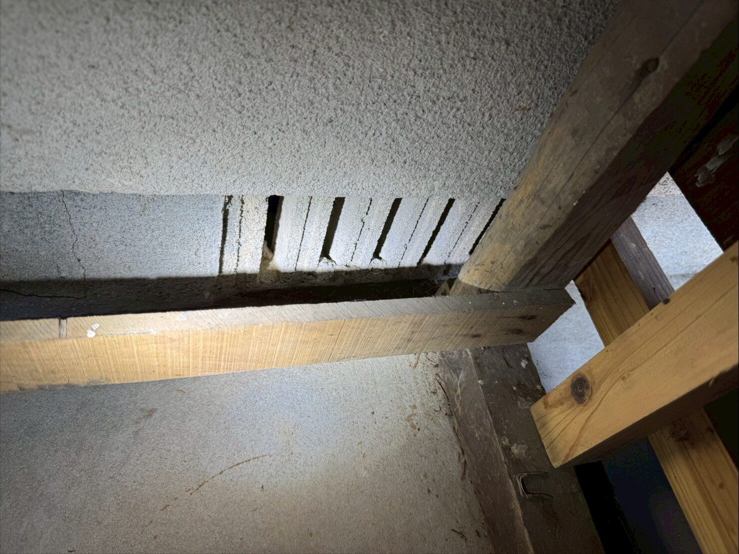 熊本県山鹿市　アライグマによる被害　S様邸　駆除実績