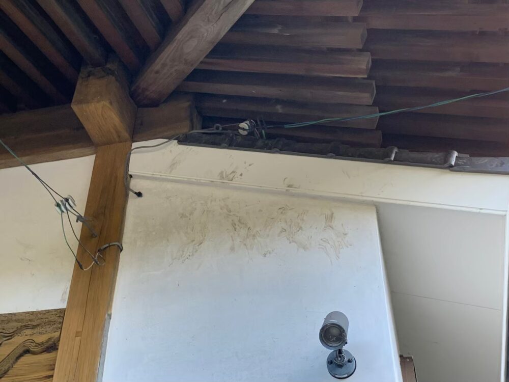 中型害獣による被害　U様邸　駆除実績