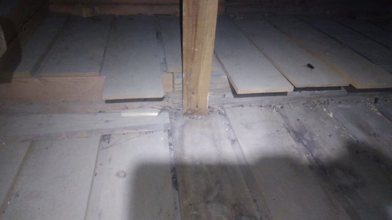 イタチによる被害　U様邸　駆除実績