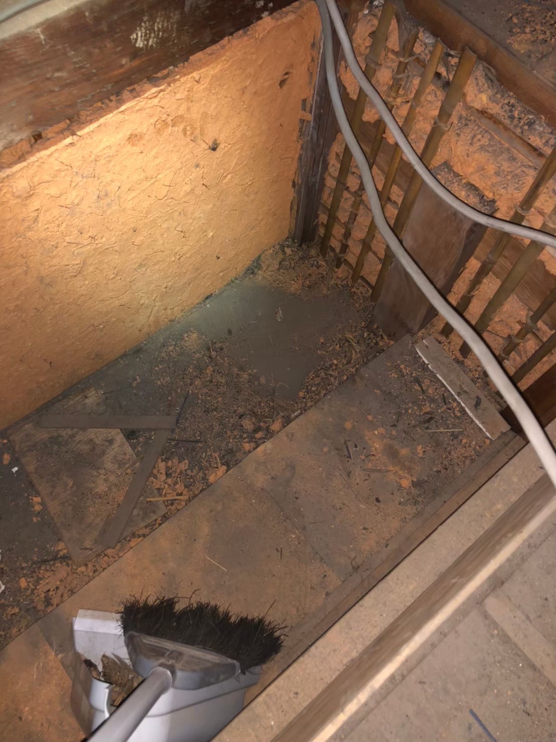 イタチによる被害　U様邸　駆除実績