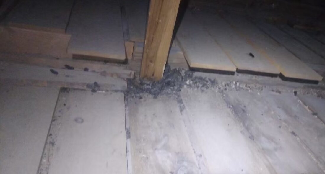 イタチによる被害　U様邸　駆除実績