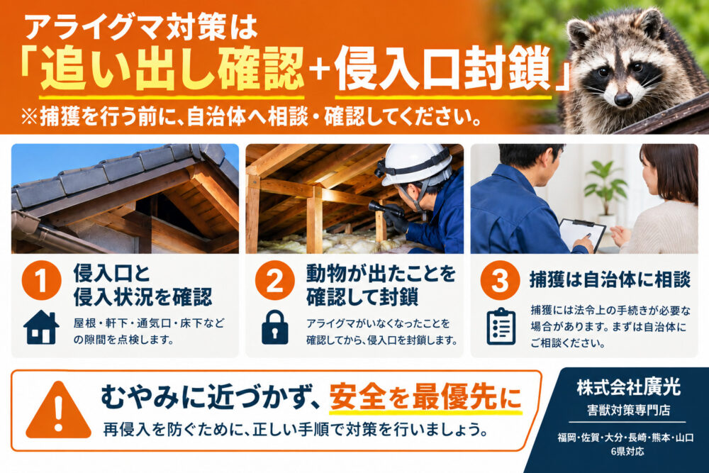 アライグマ対策｜自力駆除から業者選びまで専門家が徹底解説