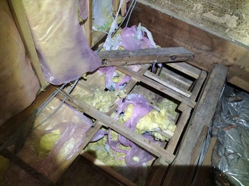 大分県玖珠町　アライグマによる被害　U様邸　駆除実績