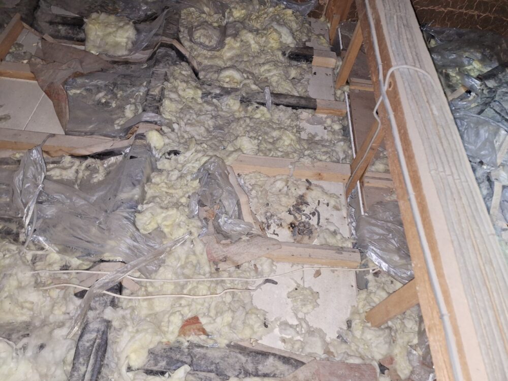 熊本県荒尾市　アライグマによる被害　U様邸　駆除実績