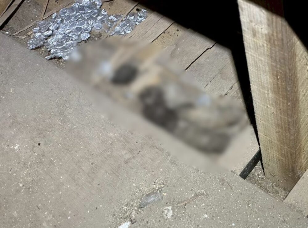 大分県日田市　アライグマによる被害　H様邸　駆除実績