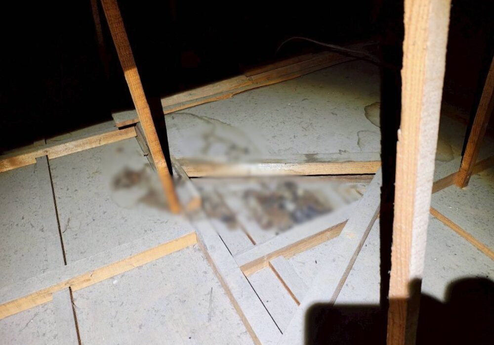福岡県宮若市　アライグマによる被害　U様邸　駆除実績