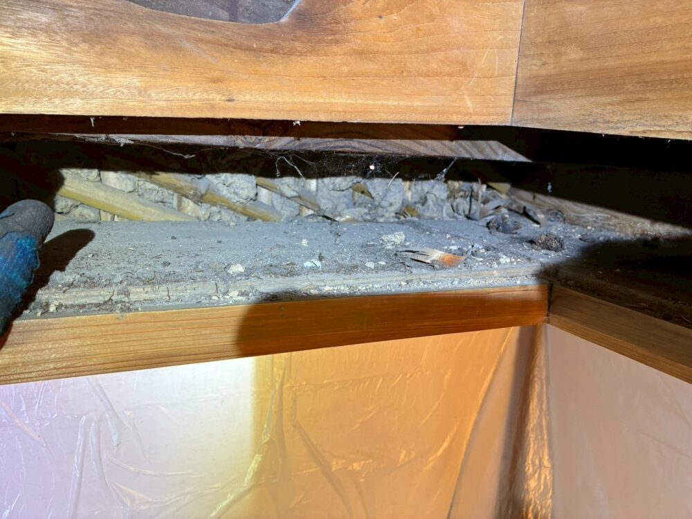 熊本県山鹿市　アライグマによる被害　S様邸　駆除実績