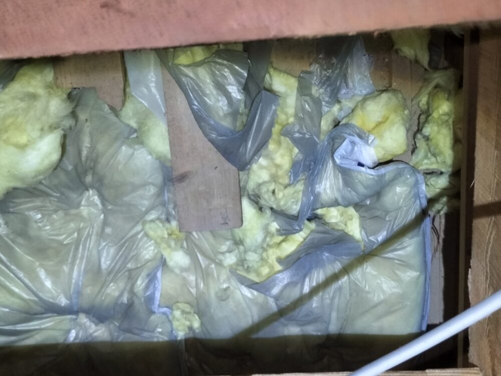 福岡県嘉穂郡桂川町　アライグマによる被害　K様邸　駆除実績
