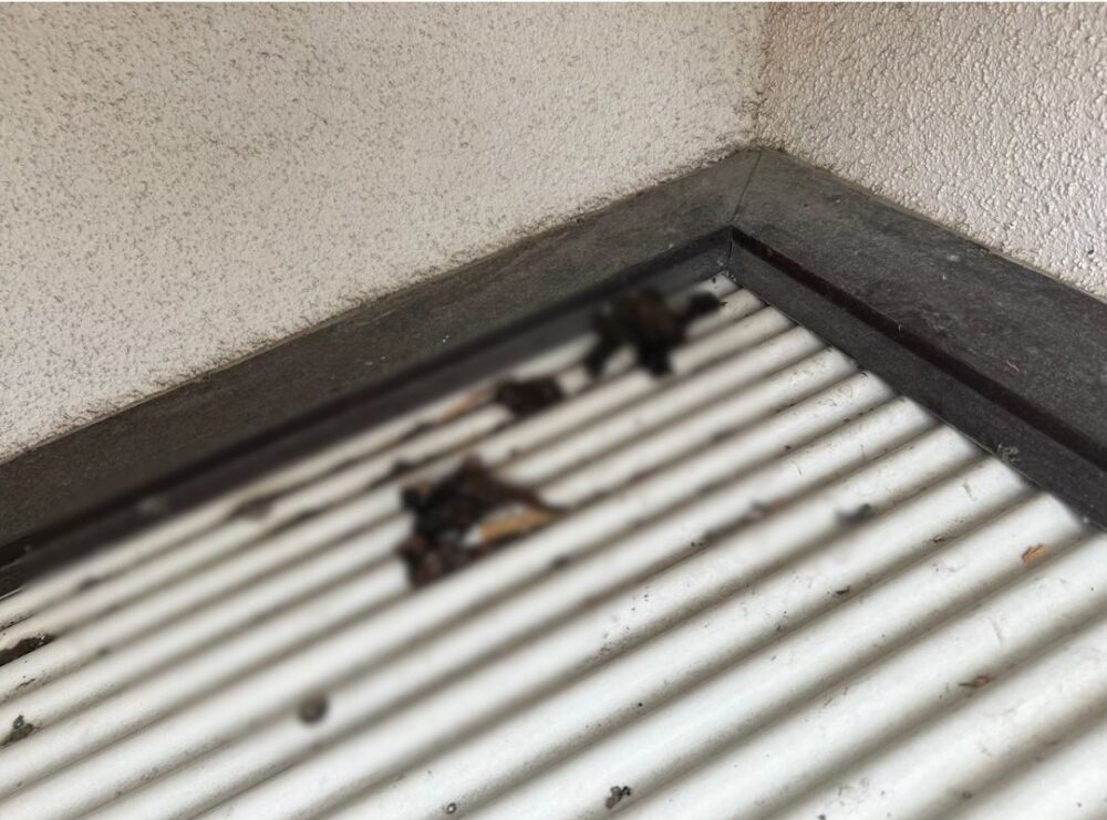 山口県下関市　アライグマによる被害　A様邸　駆除実績