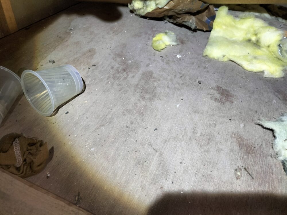 佐賀県杵島郡大町町　アライグマによる被害　K様邸　駆除実績