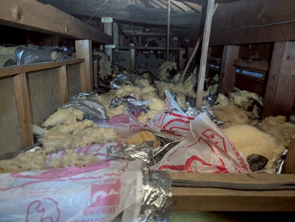 山口県山陽小野田市　アライグマによる被害　B様邸　駆除実績