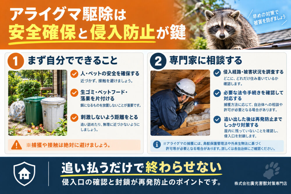 アライグマ駆除の完全ガイド｜自力対策から業者選びまで専門家が解説