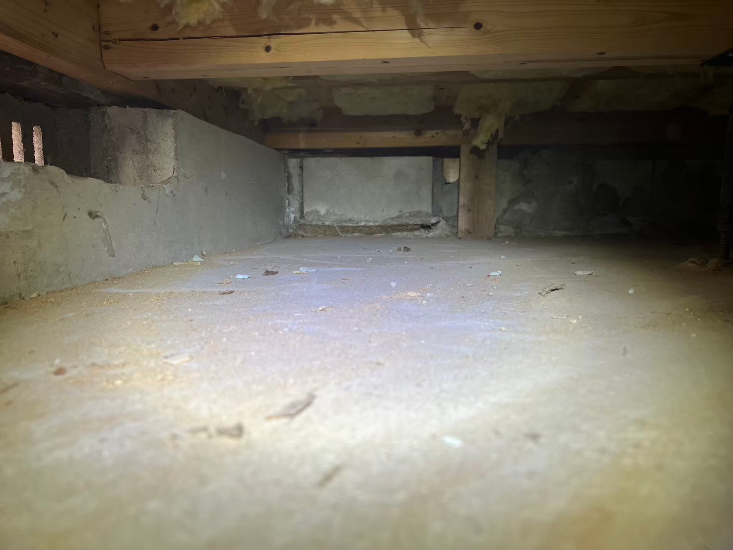 熊本県天草市　イタチによる被害　R様邸　駆除実績