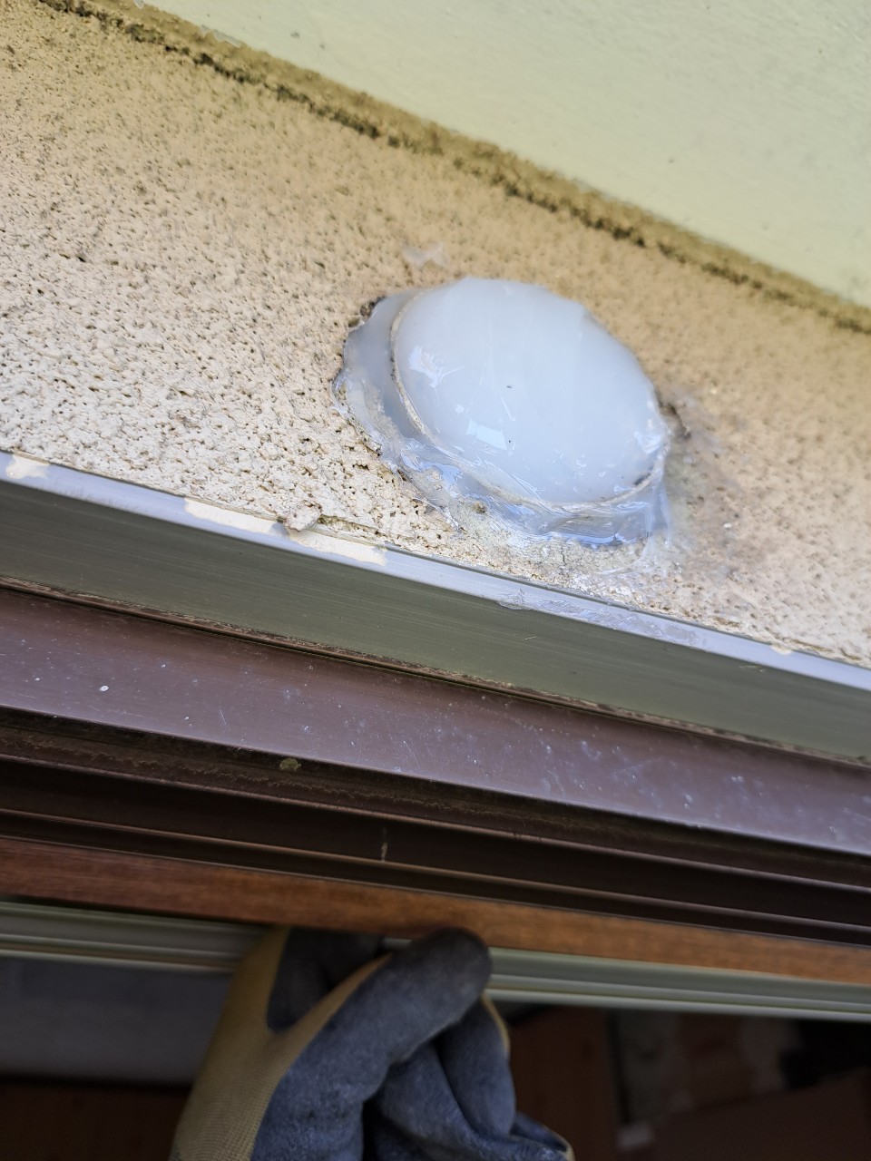 佐賀県嬉野市　イタチによる被害　W様邸　駆除実績