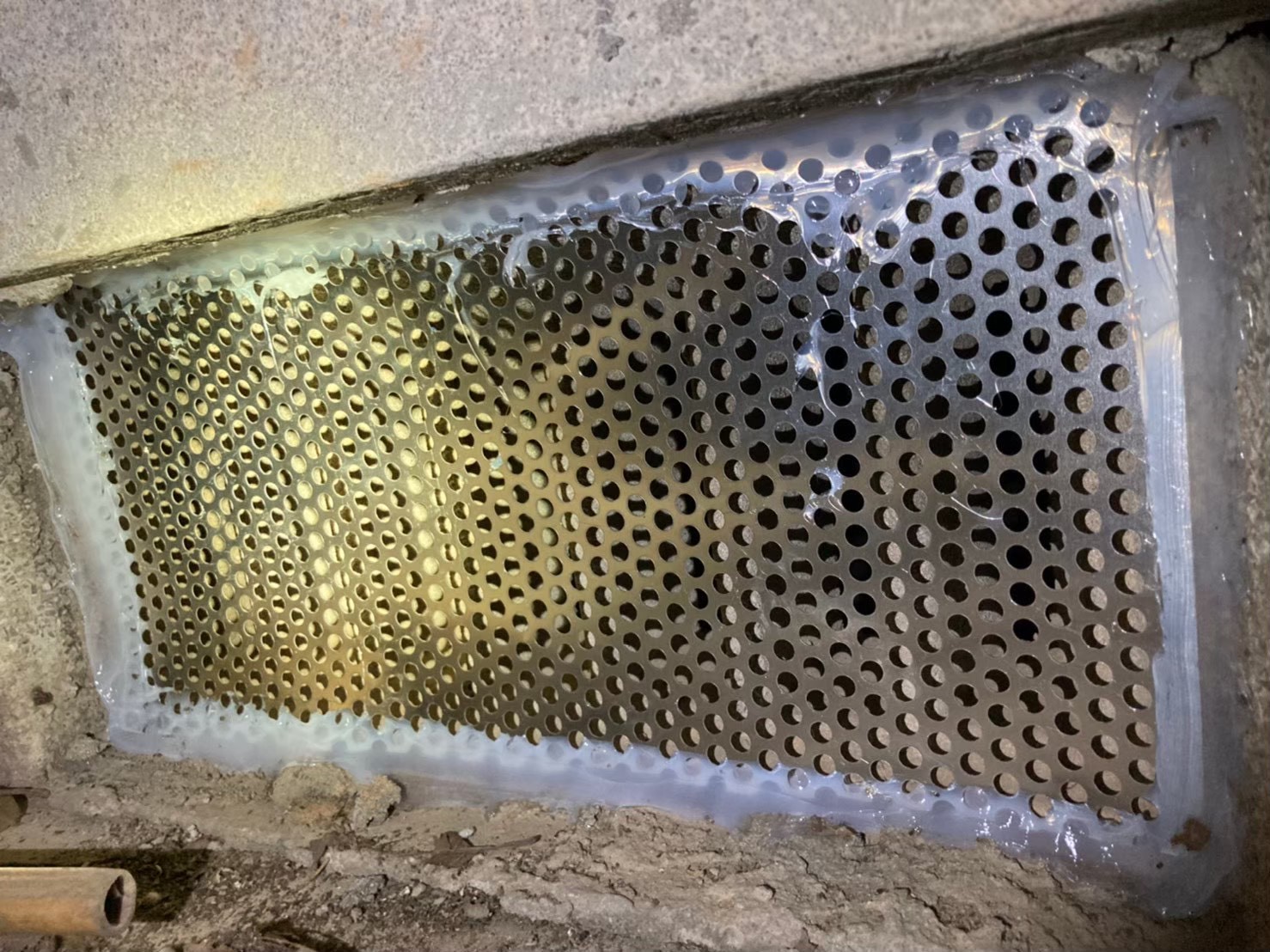 イタチによる被害　A様邸　駆除実績