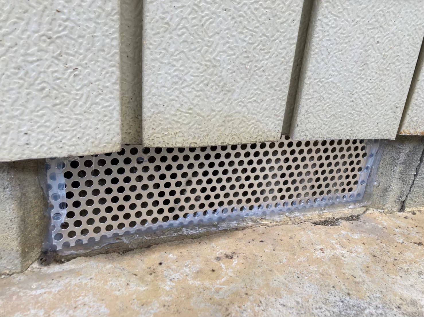 イタチ・アライグマによる被害　A様邸　駆除実績