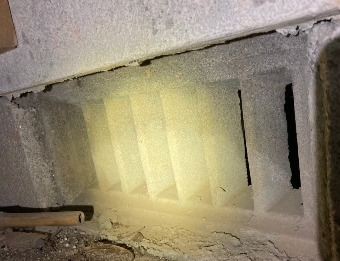 イタチによる被害　A様邸　駆除実績