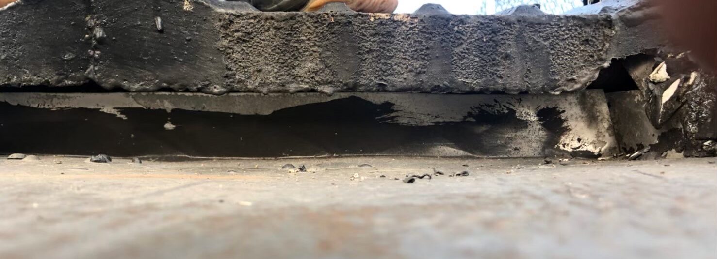 イタチによる被害　A様邸　駆除実績