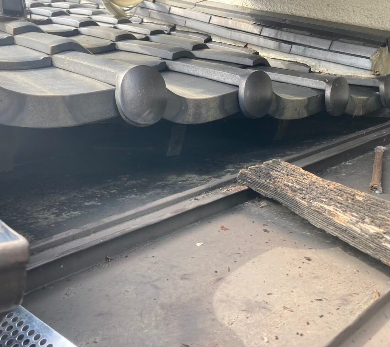 イタチによる被害　I様邸　駆除実績