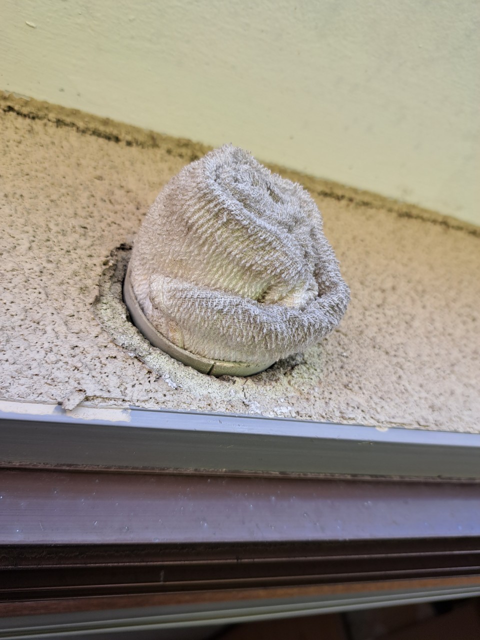 佐賀県嬉野市　イタチによる被害　W様邸　駆除実績