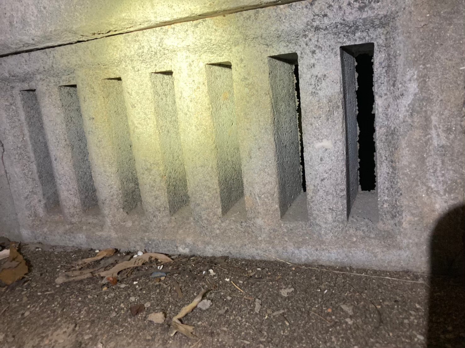 ネズミ・イタチによる被害　G様邸　駆除実績