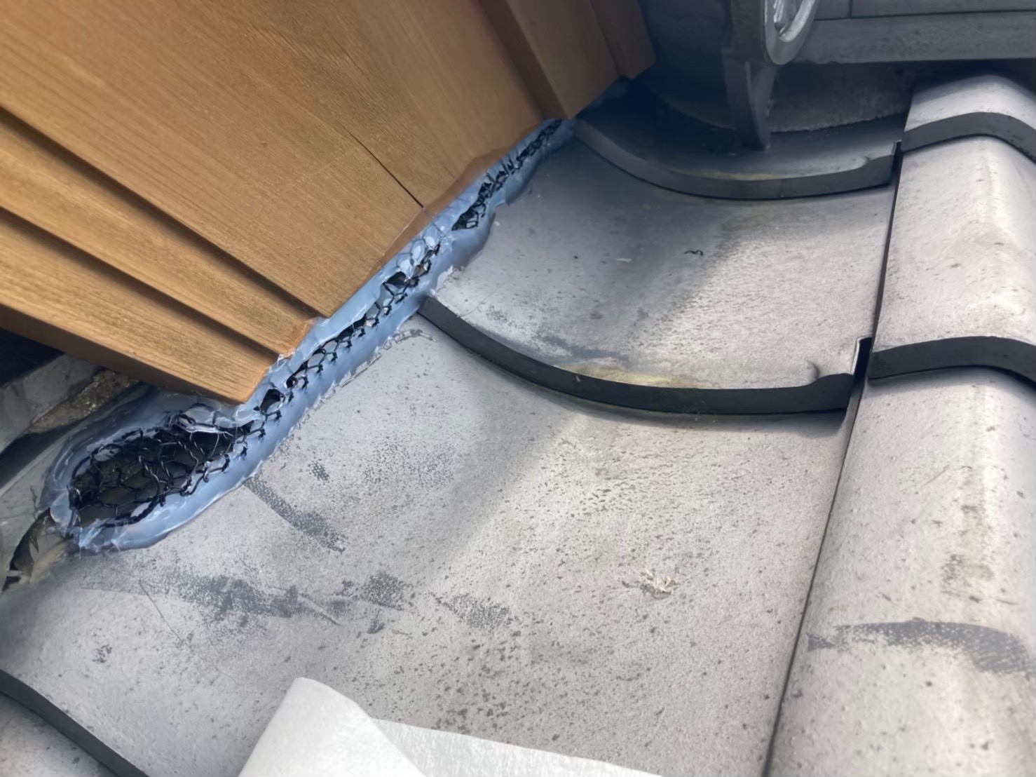 イタチによる被害　H様邸　駆除実績