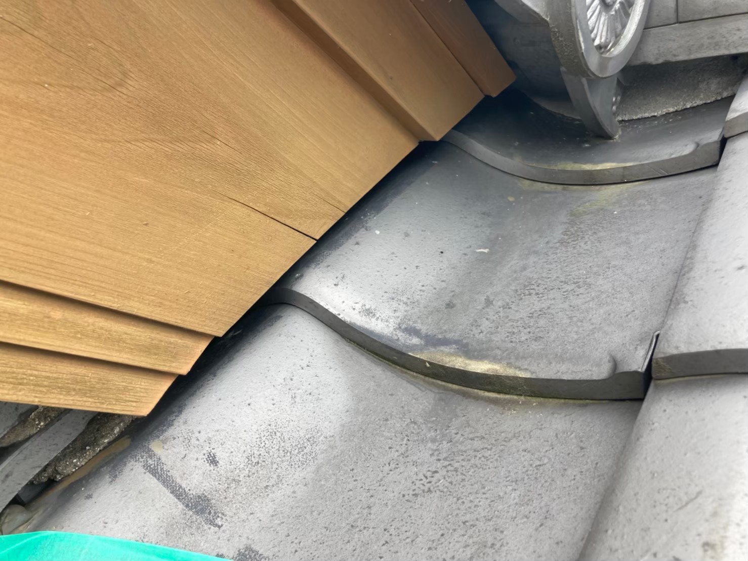 イタチによる被害　H様邸　駆除実績