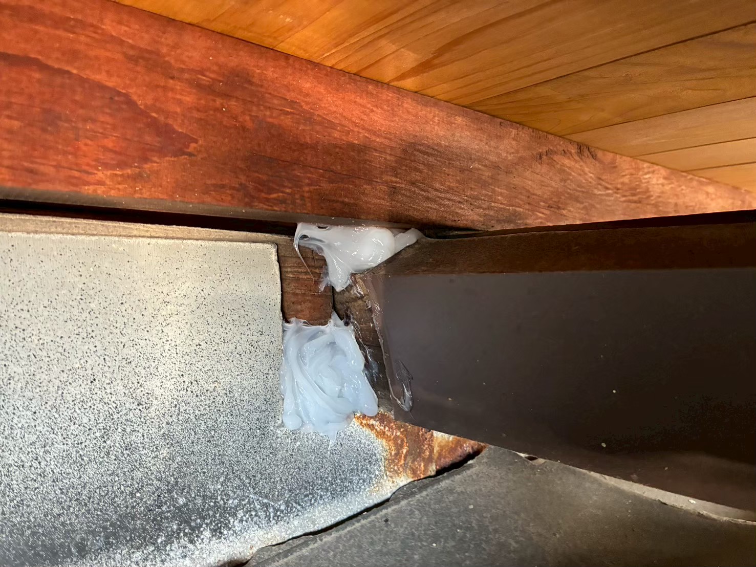 熊本県天草市　イタチによる被害　R様邸　駆除実績