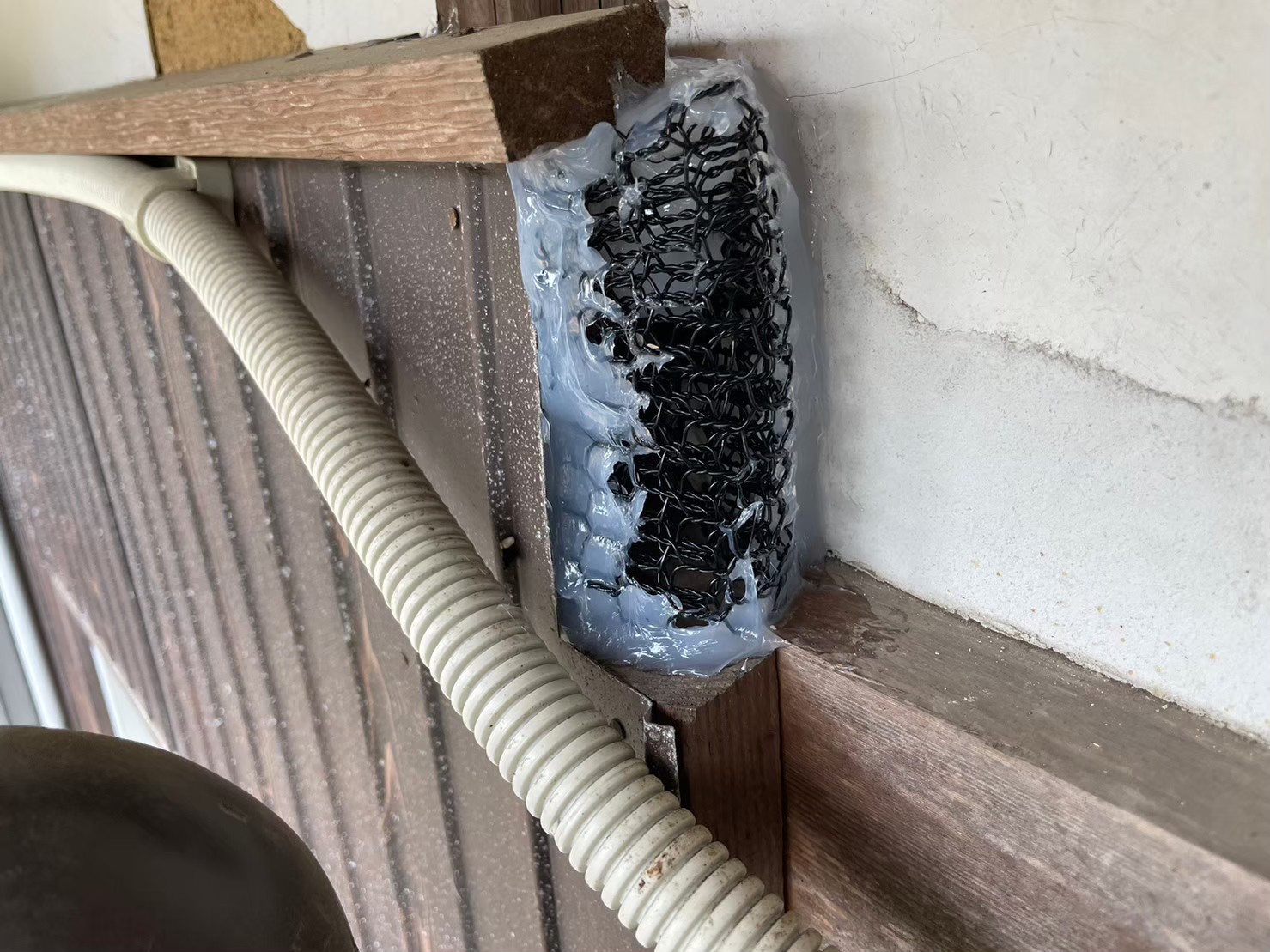佐賀県唐津市　イタチによる被害　M様邸　駆除実績