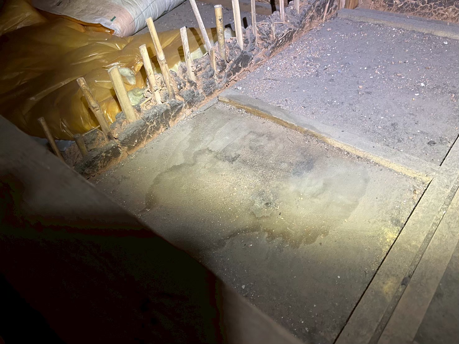 福岡県直方市　イタチによる被害　M様邸　駆除実績