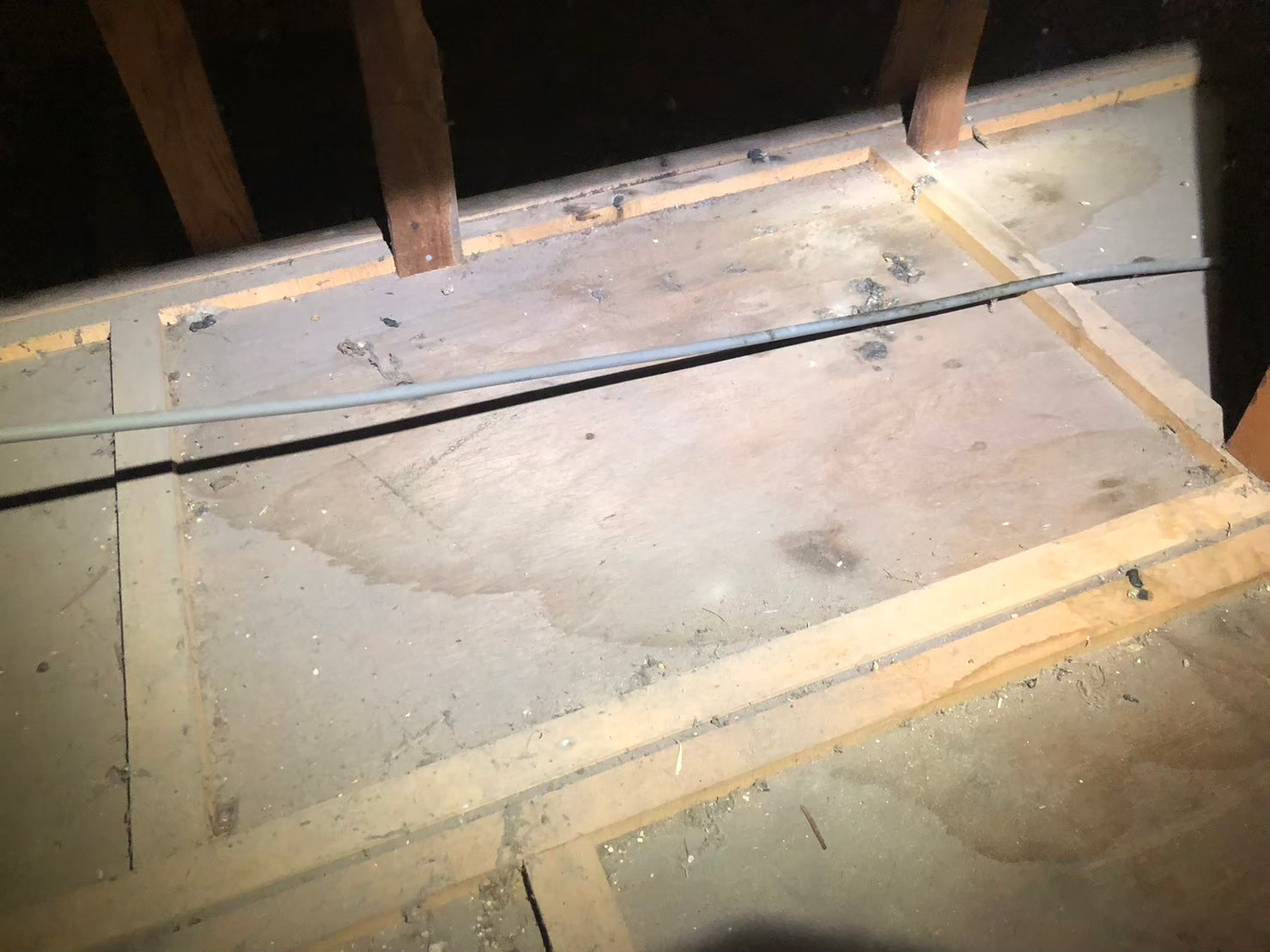 長崎県松浦市　イタチによる被害　T様邸　駆除実績