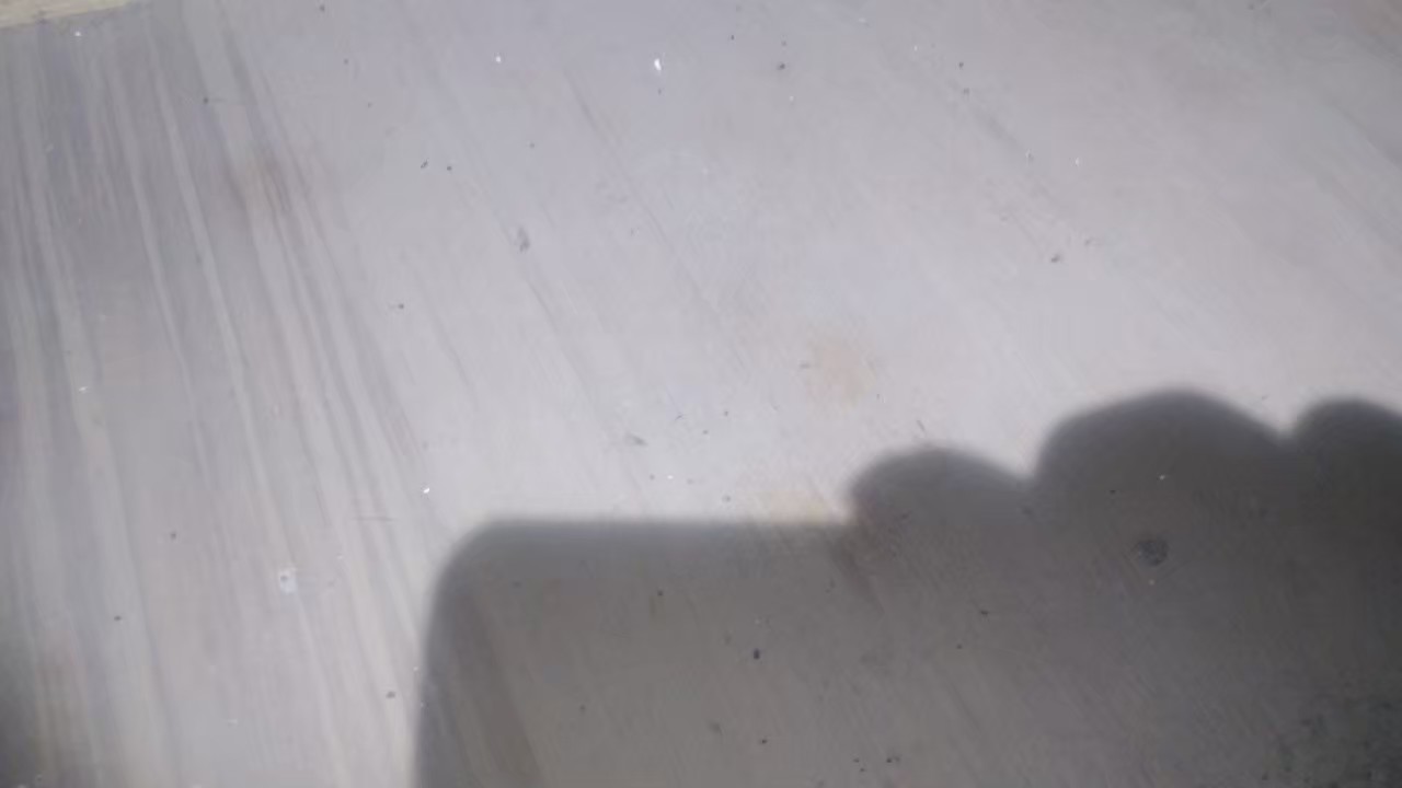 長崎県長崎市　イタチによる被害　E様邸　駆除実績