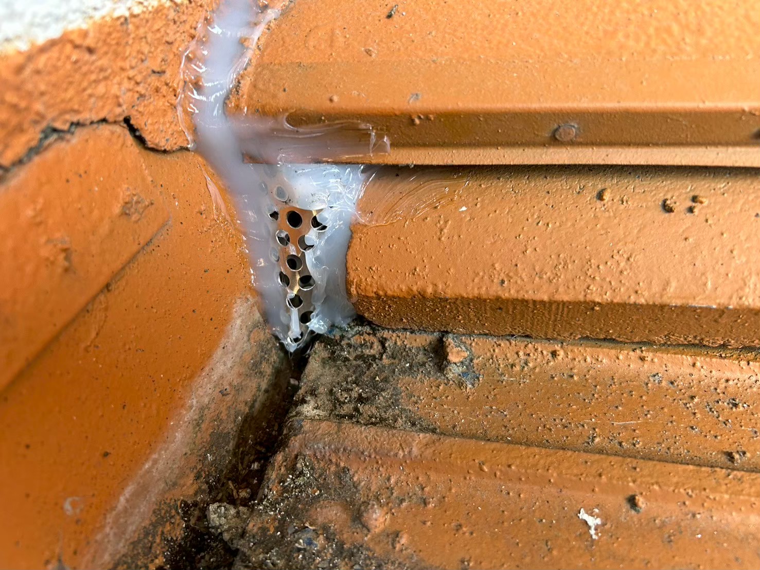 熊本県美里町　イタチによる被害　M様邸　駆除実績