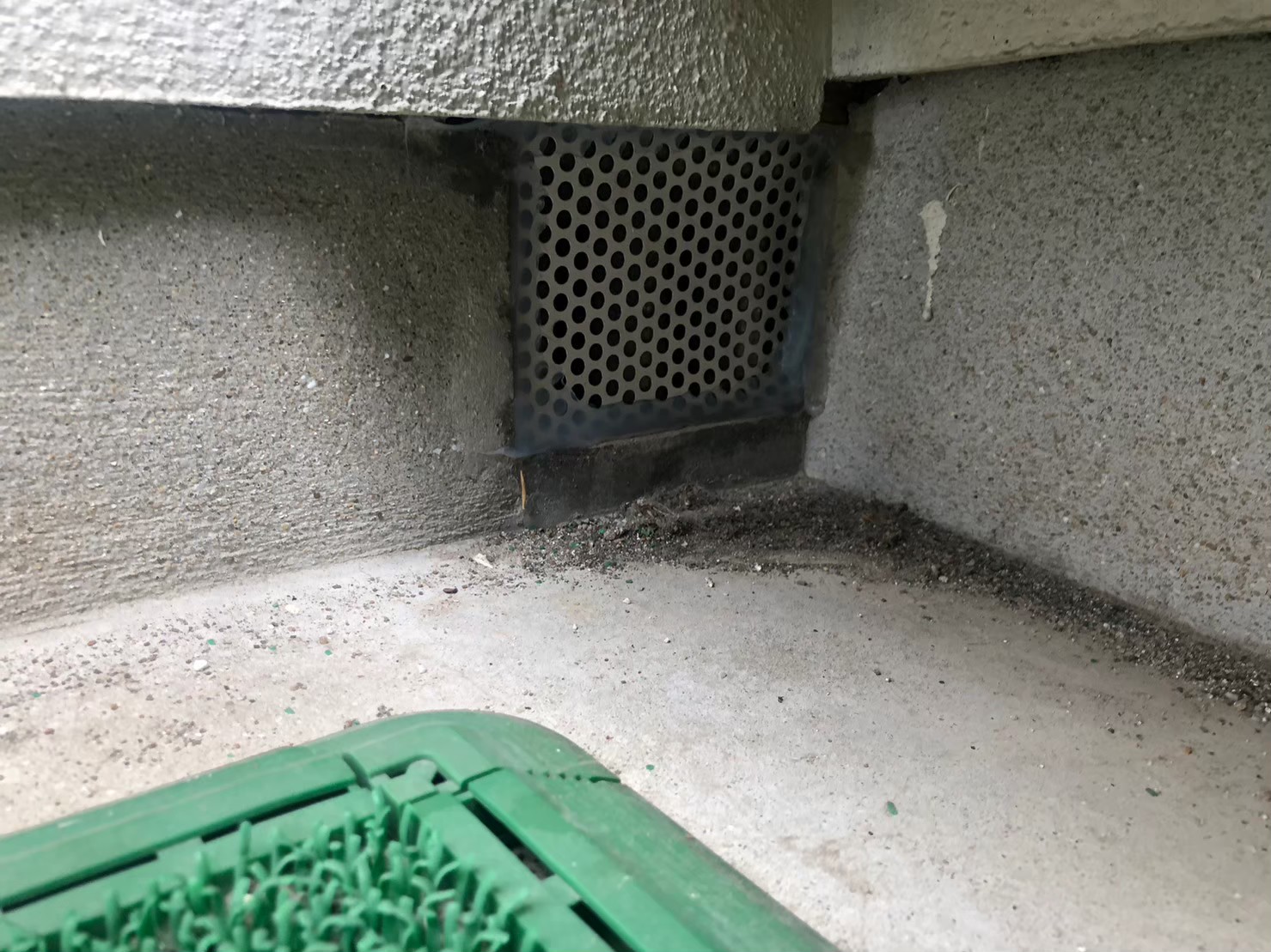 長崎県島原市　イタチによる被害　S様邸　駆除実績