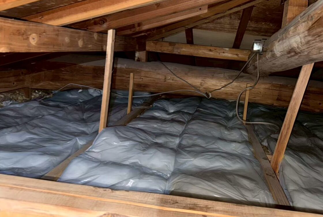 山口県下関市　イタチによる被害　A様邸　駆除実績