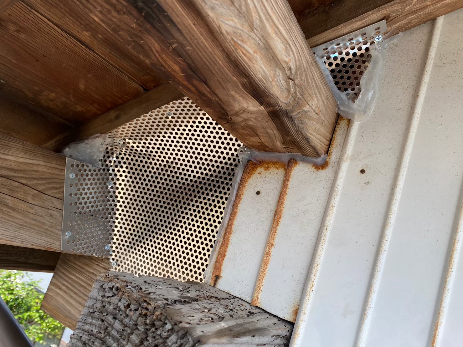 佐賀県三養基郡みやき町　イタチによる被害　S様邸　駆除実績