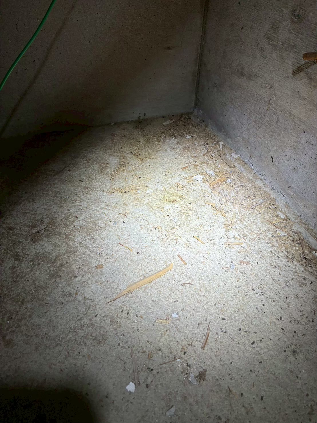 熊本県天草市　イタチによる被害　I様邸　駆除実績