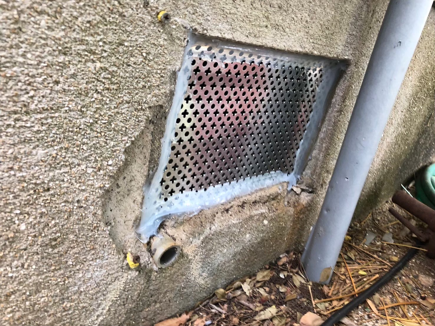 福岡県遠賀郡遠賀町　イタチによる被害　N様邸　駆除実績