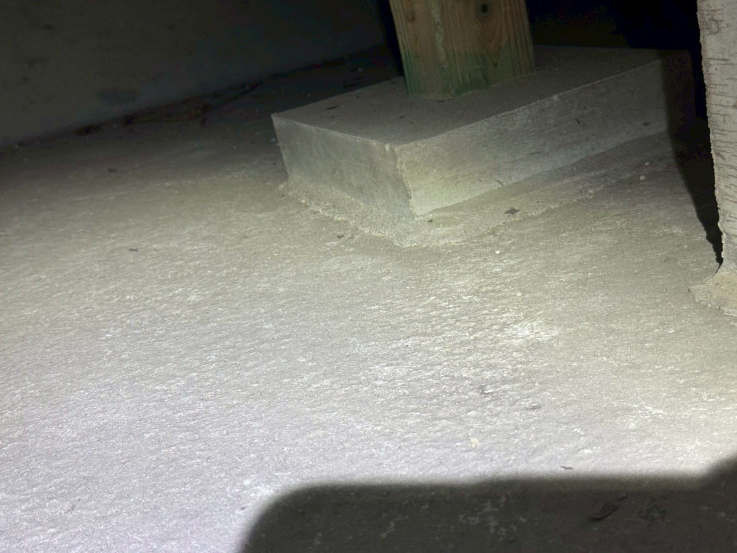 福岡県太宰府市　イタチによる被害　Y様邸　駆除実績