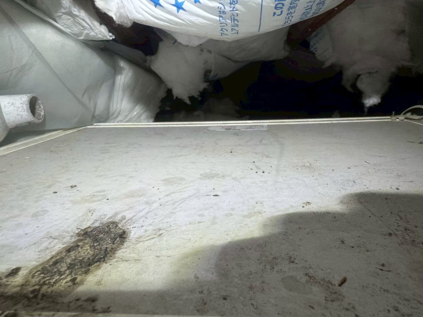 熊本県美里町　イタチによる被害　M様邸　駆除実績