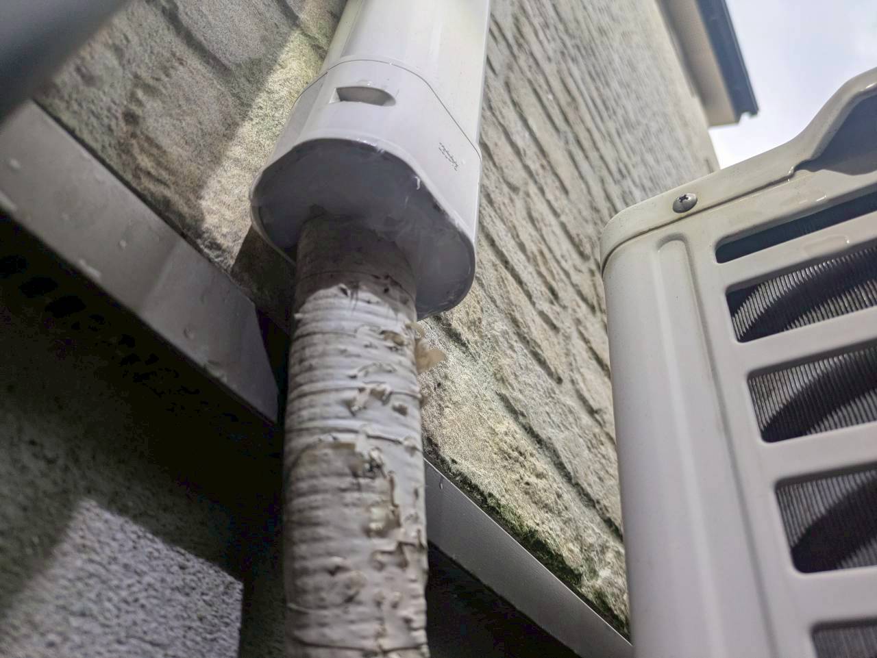 福岡県築上郡吉富町　イタチによる被害　W様邸　駆除実績