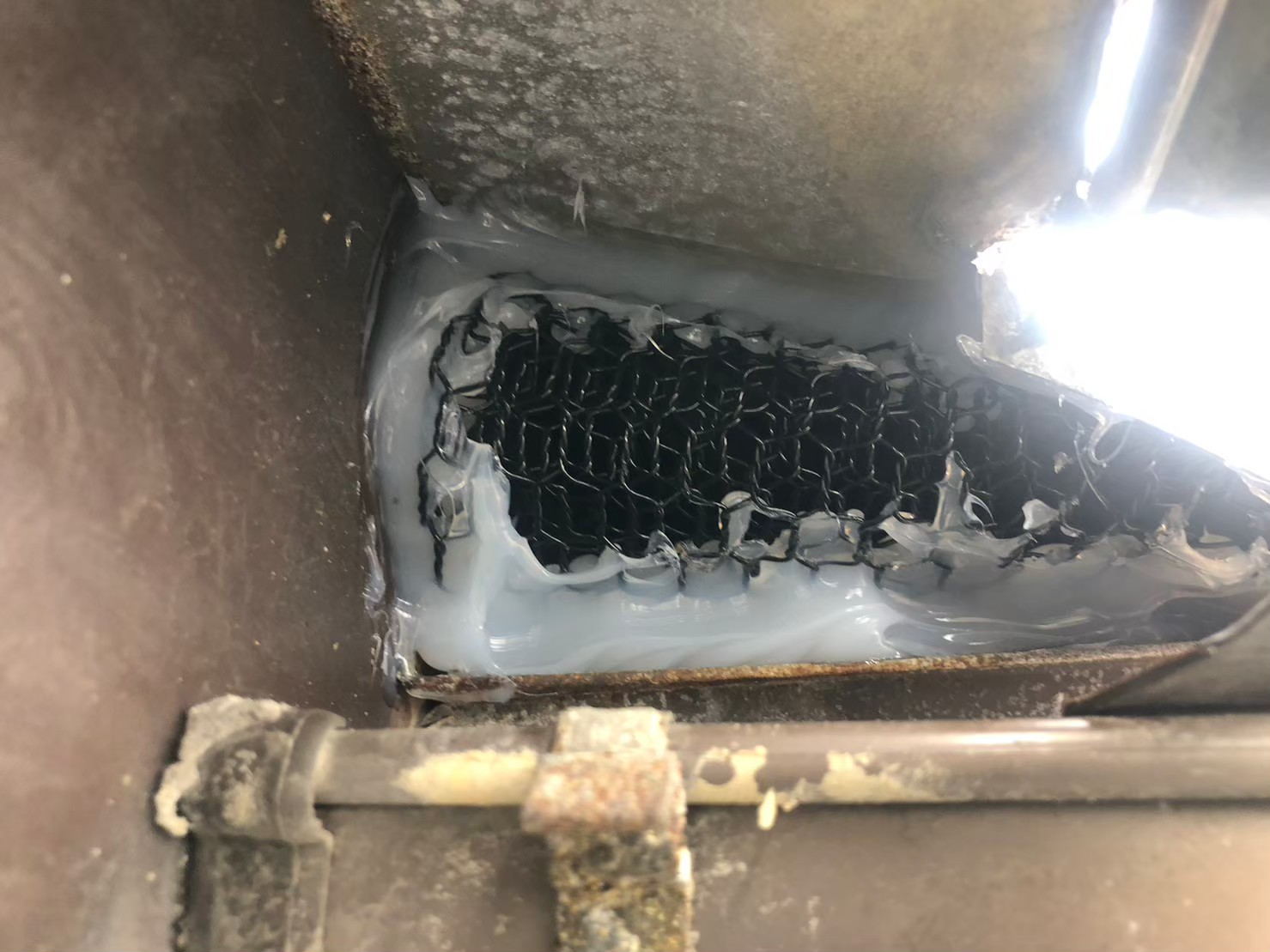 長崎県雲仙市　イタチによる被害　T様邸　駆除実績