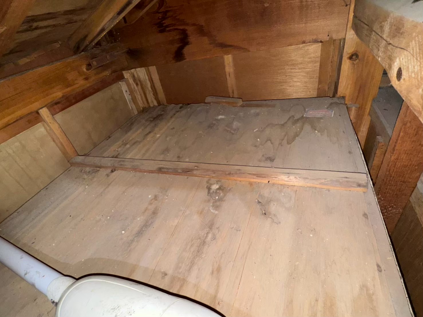 山口県下関市　イタチによる被害　A様邸　駆除実績